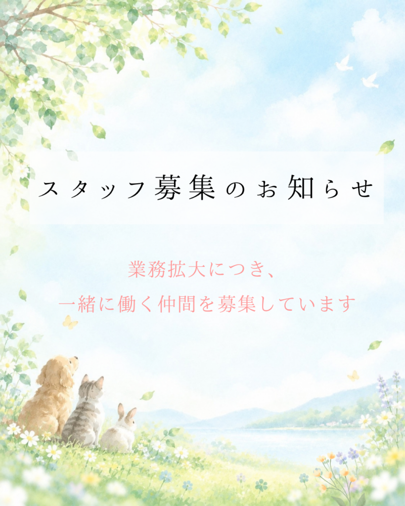 🌷スタッフ募集のお知らせ🌷