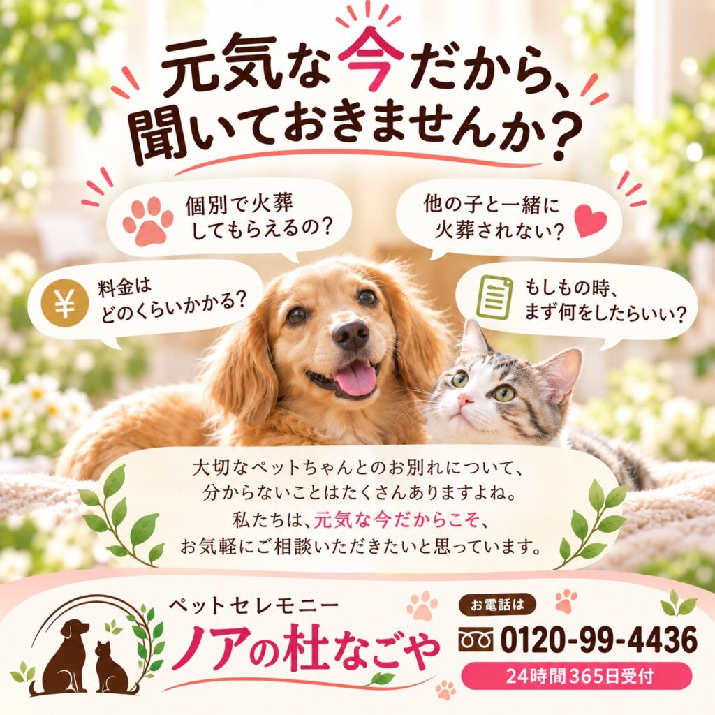 【元気な今だから、聞いておきませんか？🐾】
